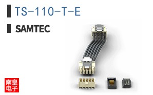 TS-110-T-E