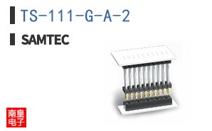 TS-111-G-A-2