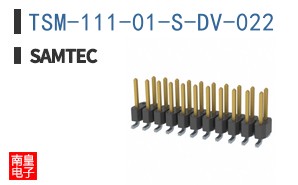 TSM-111-01-S-DV-022