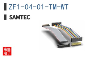 ZF1-04-01-TM-WT