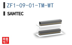 ZF1-09-01-TM-WT