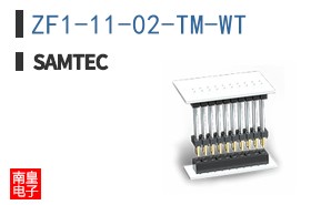 ZF1-11-02-TM-WT