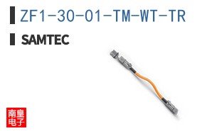 ZF1-30-01-TM-WT-TR