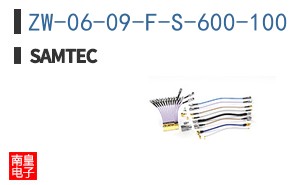 ZW-06-09-F-S-600-100