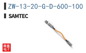 ZW-13-20-G-D-600-100