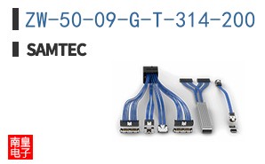 ZW-50-09-G-T-314-200